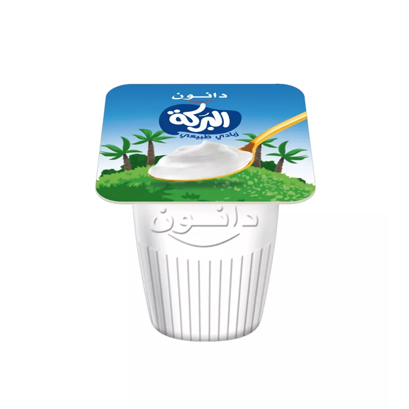 دانون البركة 65 جم 